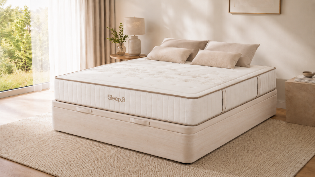 Ampuria - Hybrid Collection
