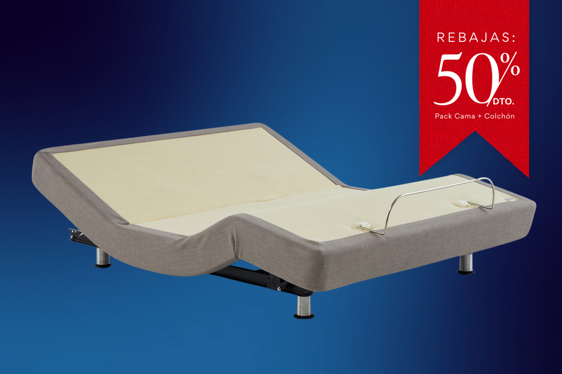 Cama ErgoBed 450