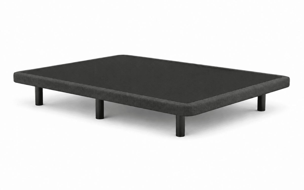 BASE BERET PLUS