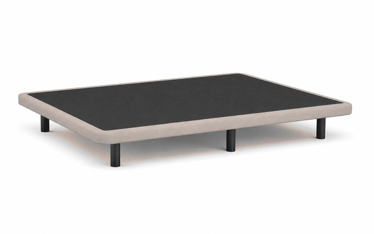 BASE BERET PLUS