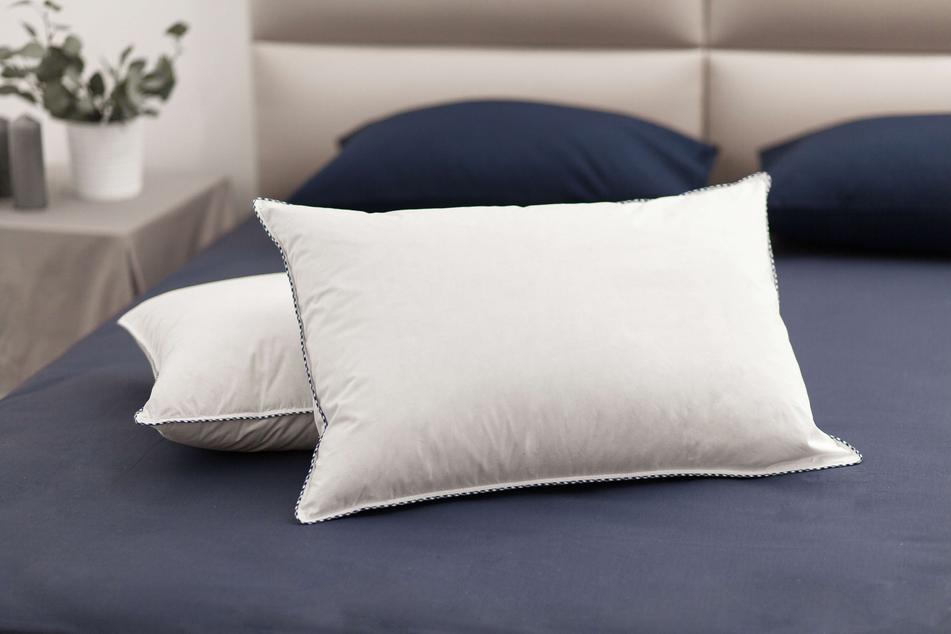 Golden Goose Pillow