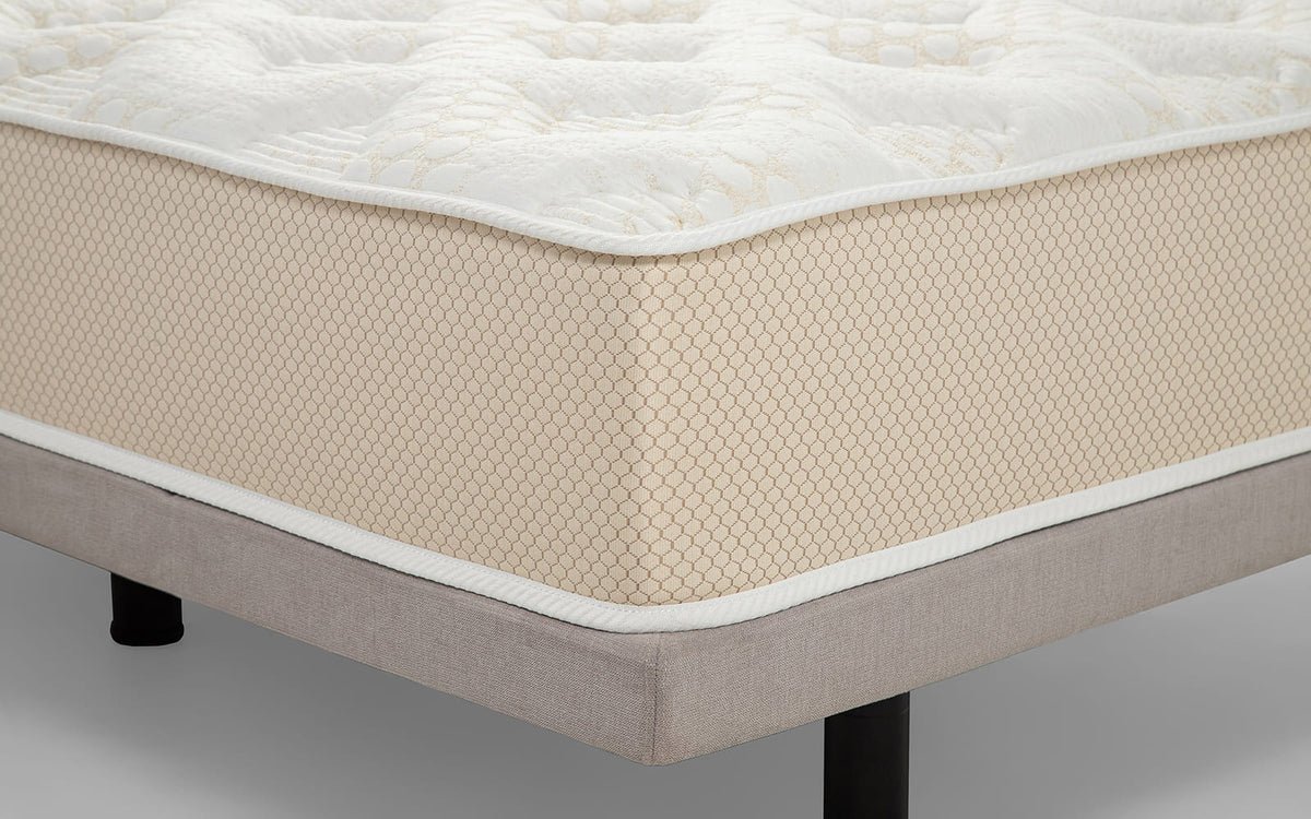 MATTRESS EXP ORTHO TRANSFORM